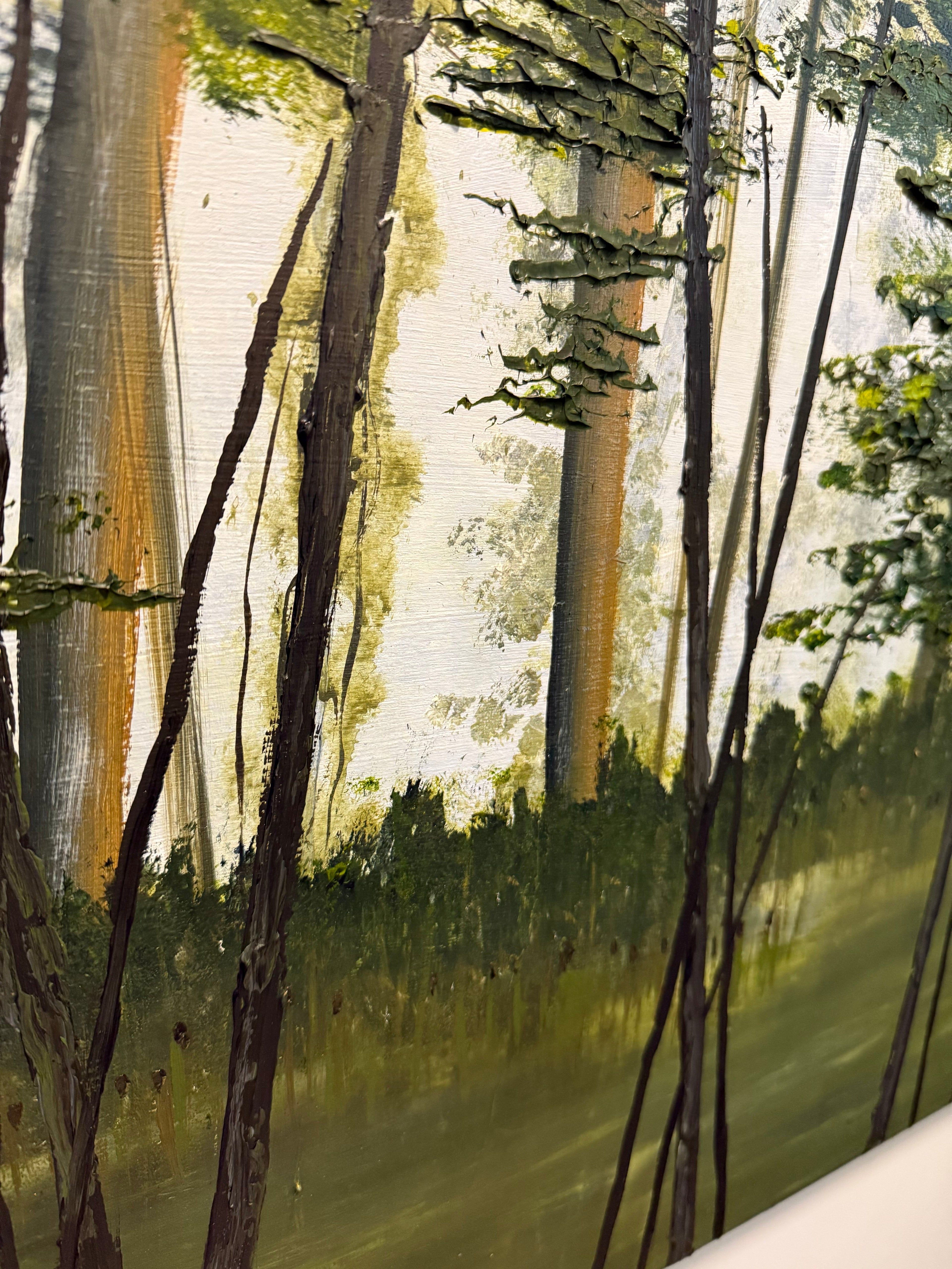 Shady Lake Trail